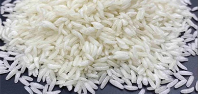 Descubra el misterio del arroz artificial y entre en el equipo de producción de alimentos de arroz artificial