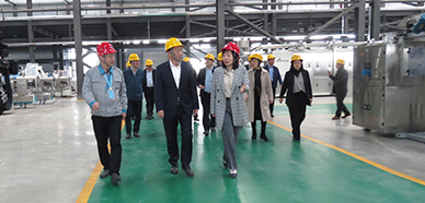 Una calurosa bienvenida a los líderes de la ciudad para que visiten Shandong Arrow Intelligent Equipment para recibir orientación