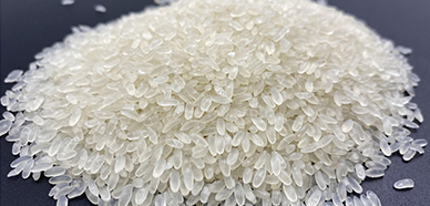 Formas de mejorar la nutrición del arroz: extrusión en caliente